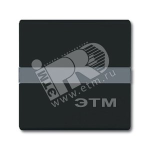 Клавиша для мех. 1-клавишного выкл./перекл./кнопки, с полем для надписи (IP44), серия Allwetter 44, цвет антрацит | 1731-0-1718  | 2CKA001731A1718 | A