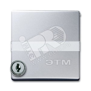 Плата промежуточная с крышкой для центральных плат , с типовым зам., IP44, серия Allwetter 44, цвет серебр.-алюм. | 1710-0-3792  | 2CKA001710A3792 | A