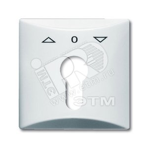 Плата центральная (накладка) с поворотной ручкой, IP44, серия Allwetter 44, цвет слоновая кость | 1710-0-2231  | 2CKA001710A2231 | ABB - ABB