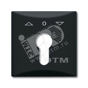 Плата центральная (накладка) с поворотной ручкой, IP44, серия Allwetter 44, цвет антрацит | 1710-0-1894  | 2CKA001710A1894 | ABB