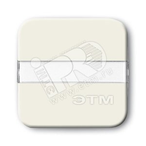 Клавиша для механизма 1-клавишного выкл./перекл./кнопки, серия Busch-Duro 2000 SI, цвет слоновая кость | 1731-0-0561  | 2CKA001731A0561 | ABB