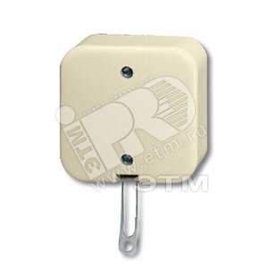 Переключатель со шнурком для открытого монтажа, серия Busch-Duro 2000 AP, цвет слоновая кость | 1343-0-0136  | 2CKA001343A0136 | ABB