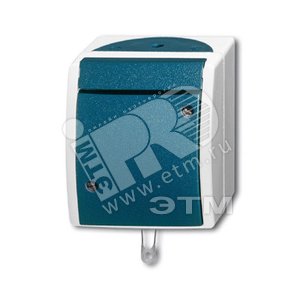 Переключатель со шнурком, IP44, для открытого монтажа, серия ocean, цвет серый/сине-зелёный | 1383-0-0141  | 2CKA001383A0141 | ABB