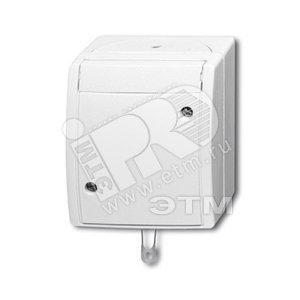 Переключатель со шнурком, IP44, для открытого монтажа, серия ocean, цвет альпийский белый | 1383-0-0143  | 2CKA001383A0143 | ABB