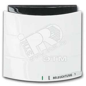 Triton Сенсор одно/двухклавишный с ИК-приемником альпийский белый (6320/10-24G-500)