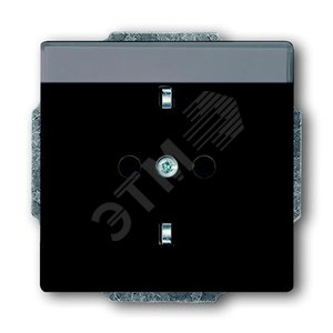 Розетка SCHUKO 16А 250В с полем для надписи, серия solo/future, цвет антрацит | 2011-0-3802 | 2CKA002011A3802 | ABB 2