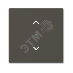 SRB-1-95 Клавиша одинарная free@home, жалюзи, Basic 55, цвет chateau-black | 6220-0-0688 | 2CKA006220A0688 | ABB - фото 2