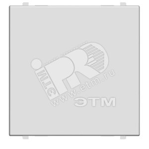 ABB Zenit Серебряный Заглушка (2 мод) | N2200 PL  | 2CLA220000N1301 | ABB - ABB
