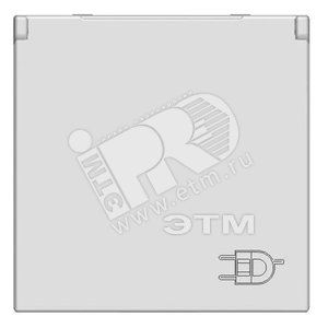 Zenit Розетка  с/з с/ш с крышкой 16А 250В,серебр. - ABB