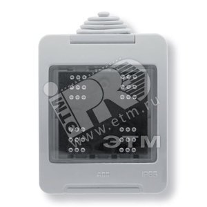 ABB Zenit/Stylo Коробка IP55 для открытой установки на 2модуля | N3291  | 2CLA329100N1101 | ABB - ABB