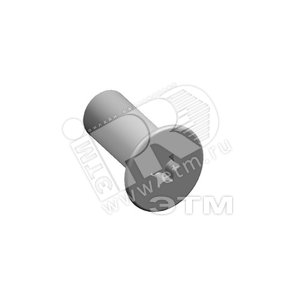 Винт М6х12 (Torx 30) (упак 20 шт) | RZ13P20 | ABB