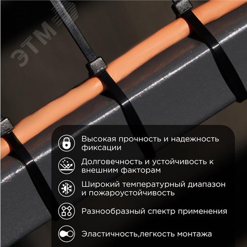 Хомут-стяжка кабельная нейлоновая PROconnect 150x2,5 мм, черная, 100 шт - фото 2