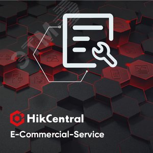 Разработка (стоимость инженер-день) (HikCentral-E-Commercial-Service) - Hikvision