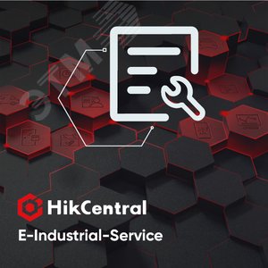 Разработка (стоимость инженер-день) (HikCentral-E-Industrial-Service) - Hikvision