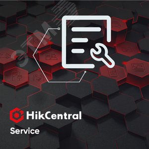 Разработка (стоимость инженер-день) (HikCentral-Service) - Hikvision