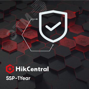 Продление программы поддержки платформы на 1 год, стоимость за 1 камеру (SSP-1Year) - Hikvision