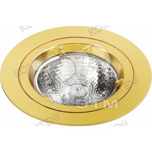 Светильник ИВО-50w 12в GU5.3 золото (TERRA 51004) - КОМТЕХ