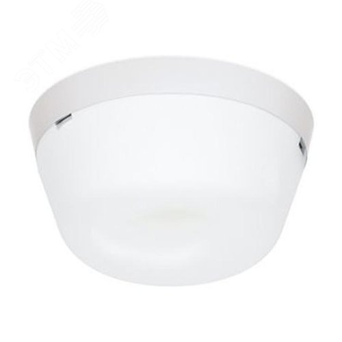 Светильник светодиодный TLR01 OL 9w 1070 Лм 4000К IP65 - TechnoLux