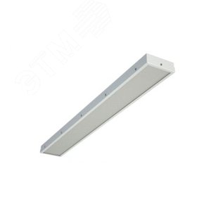 Светильник TL228 TG IP54 (21835)