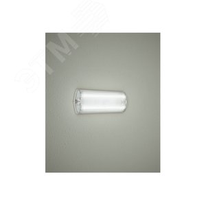Светильник светодиодный TLM03 OL 17w 1800Лм 5000К IP65 (26007) - фото 2