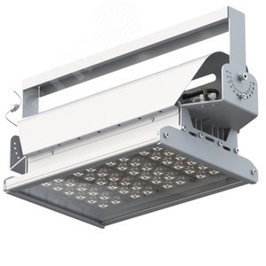 Светильник светодиодный ДО-100Вт Эверикс LED-100-Д120-IP66-У11/LIRA/740/RAL7035/TG/AC230/D/Х/G1 - Кадошкинский ЭТЗ