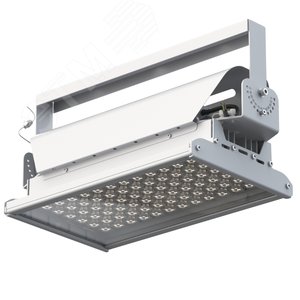 Светильник светодиодный ДО-150Вт Эверикс LED-150-Г60.4-IP66-УХЛ11/LIRA/740/RAL7035/TG/AC230/D/Х/G1 - Кадошкинский ЭТЗ