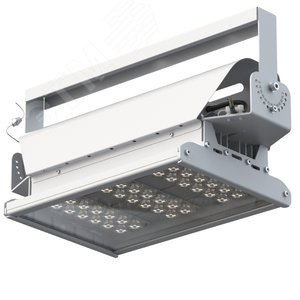 Светильник светодиодный ДО-80Вт Эверикс LED-80-Э30х90.4-IP66-У11/LIRA/740/RAL7035/TG/AC230/D/Х/G1 - Кадошкинский ЭТЗ