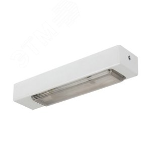 Светильник ЛПО-56-11-008 антиванд.IP20 (1001284) - GALAD