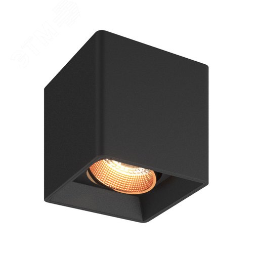Светильник точечный накладной Rodvig GU5.3 LED 10Вт IP20 черный пластик - DENKIRS
