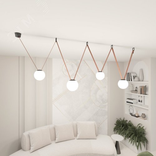 Комплект ременной трековой системы Belty DENKIRS DK55SET20-01-BR - фото 3