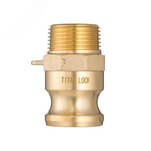 2in Камлок типа F ниппель, наружная. резьба BSP (латунь) TL200FBR - TITAN LOCK