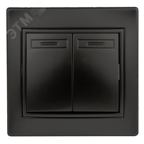 Выключатель двойной, 10А-250В, IP20, СУ, Plano, антрацит (10/200/2400) 1-104-05 Intro - ЭРА (Энергия света)