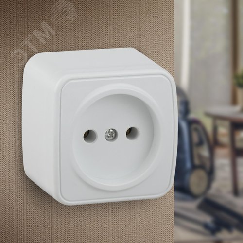 Розетка однофазная наружная (открытой установки) без шторок белый 16А 250В IP20 винтовые зажимы 3-201-01 Intro Polo - фото 2