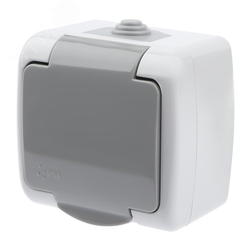 Розетка 2P+E Schuko шторки, 16А-250В, IP54, ОУ, Atlantic, серый - ЭРА (Энергия света)