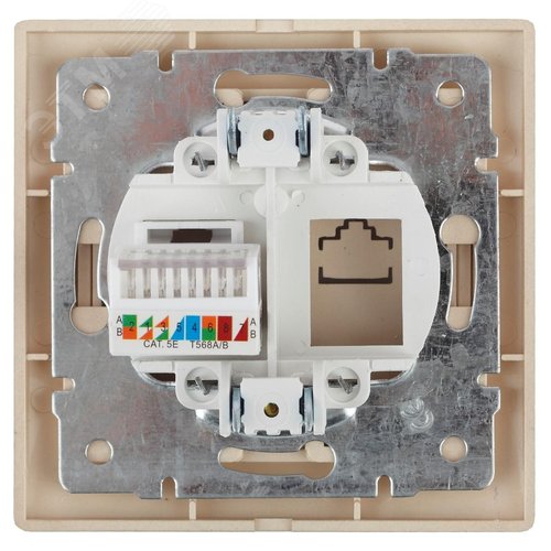 Розетка информационная RJ45, СУ, Plano, сосна, 1-303-11 - фото 2
