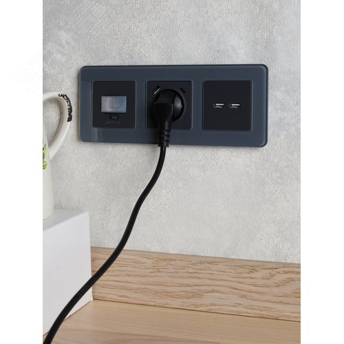 BRITE Розетка USB A+A 3.1А РЮ10-1-БрГ графит - фото 8