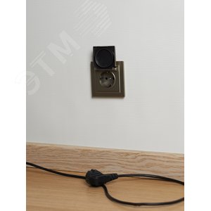 BRITE Розетка с заземлением с защитными шторками и крышкой 16А IP44 РСбш10-3-44-БрШ шампань - фото 4