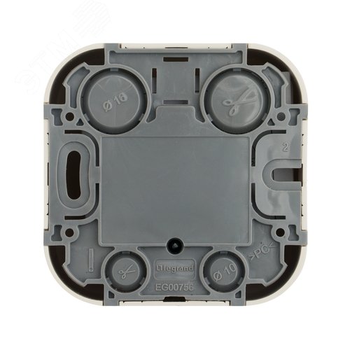 Quteo Розетка телефонная+компьютерная RJ11+RJ45 категория 5 UTP наружная бежевая - фото 2