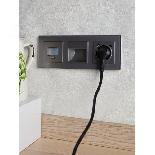 BRITE Розетка с заземлением с защитными шторками 16А с USB A+C 18Вт РЮш11-1-БрС сталь - фото 8