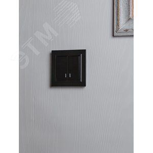 BRITE Рамка 1 пост IP44 РУ-1-БрЧ-44 черный - фото 6
