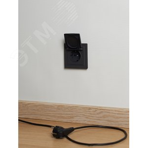 BRITE Розетка одинарная с заземлением с защитными шторками и крышкой 16А IP44 РСбш10-3-44-БрГ графит - фото 4