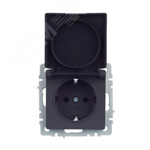 BRITE Розетка одинарная с заземлением с защитными шторками и крышкой 16А IP44 РСбш10-3-44-БрГ графит - фото 9