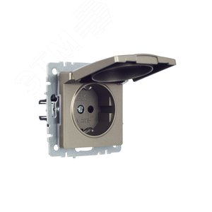 BRITE Розетка с заземлением с защитными шторками и крышкой 16А IP44 РСбш10-3-44-БрШ шампань - фото 2