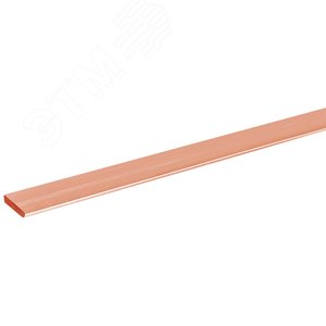 Шина М1Т 10х100х4000мм