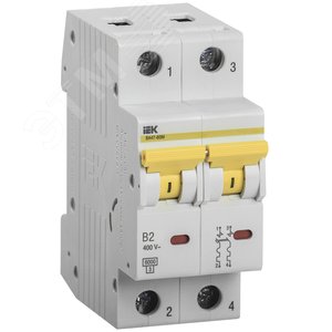 Выключатель автоматический ВА47-60M 2Р 2А 6кА B