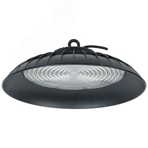 Светильник ДСП 3011 PRO 200Вт 90гр 6500К IP65 алюминий