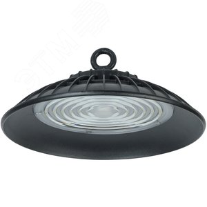 Светильник ДСП 3005 PRO 100Вт 90гр 6500К IP65 алюминий