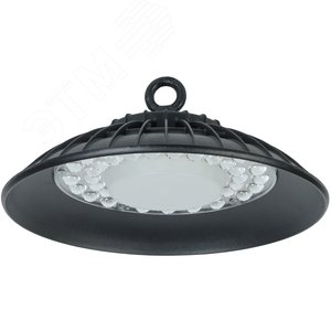 Светильник ДСП 3004 PRO 100Вт 60гр 6500К IP65 алюминий