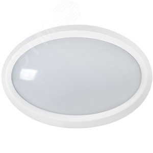 Светильник светодиодный ДПО 5040 12 Вт 4000K IP65 овал белый