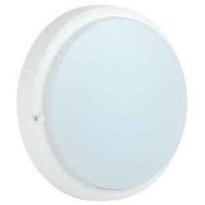 Светильник светодиодный ДПО 4007 15 Вт IP54 6500K круг белый